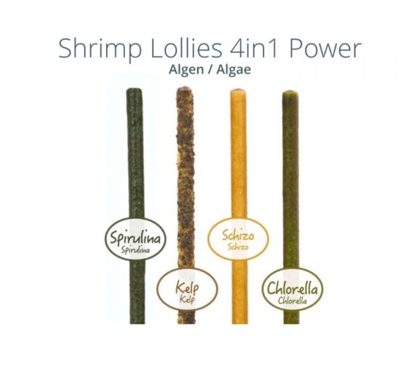 GlasGarten Shrimp Lollies 4 in 1 Power Algae 8 pcs.