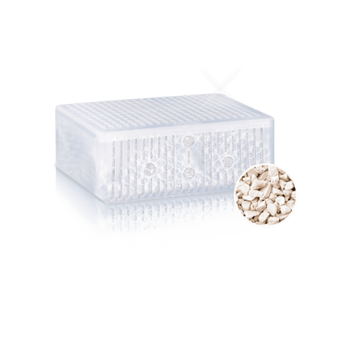 Hovedbilde Juwel Amorax - Medium