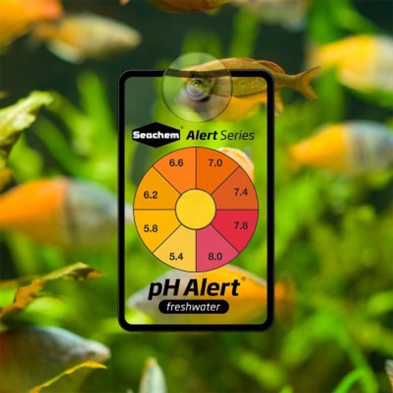 SEACHEM pH ALERT 6 MONTH