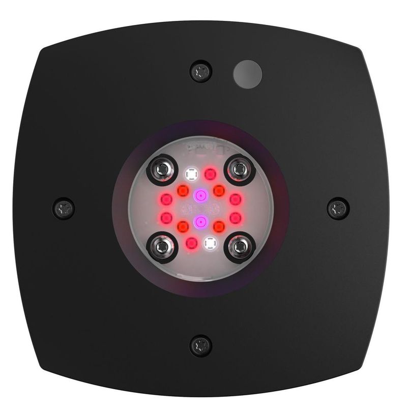 Aqua Illumination Prime Fuge