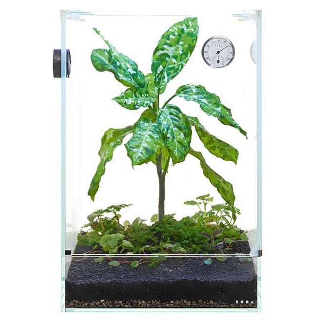 Hovedbilde DOOA T-H Meter