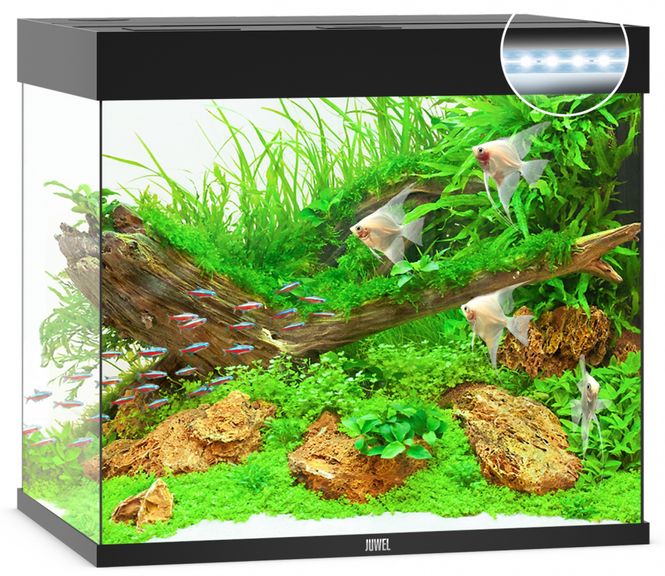 Hovedbilde Lido 200 LED Sort