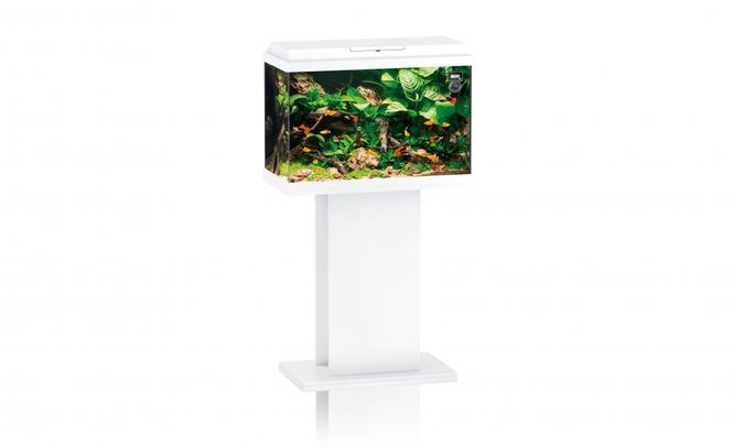 Hovedbilde Primo 70 2.0 LED Hvit