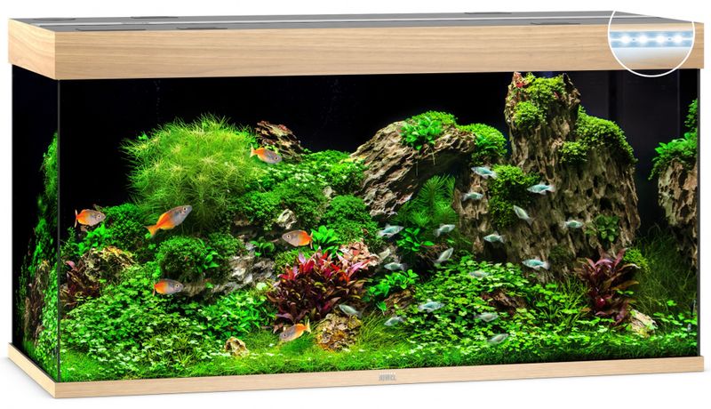 Rio 350 LED Eik