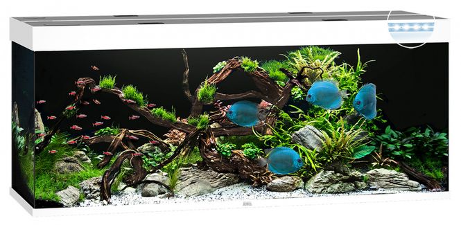 Hovedbilde Rio 450 LED Hvit