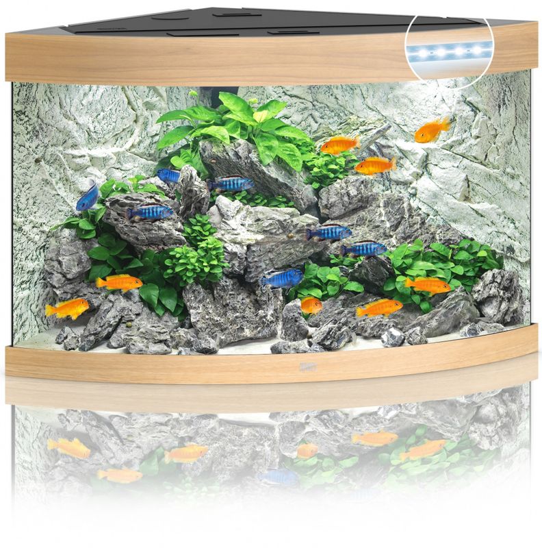 Trigon 190 LED Eik