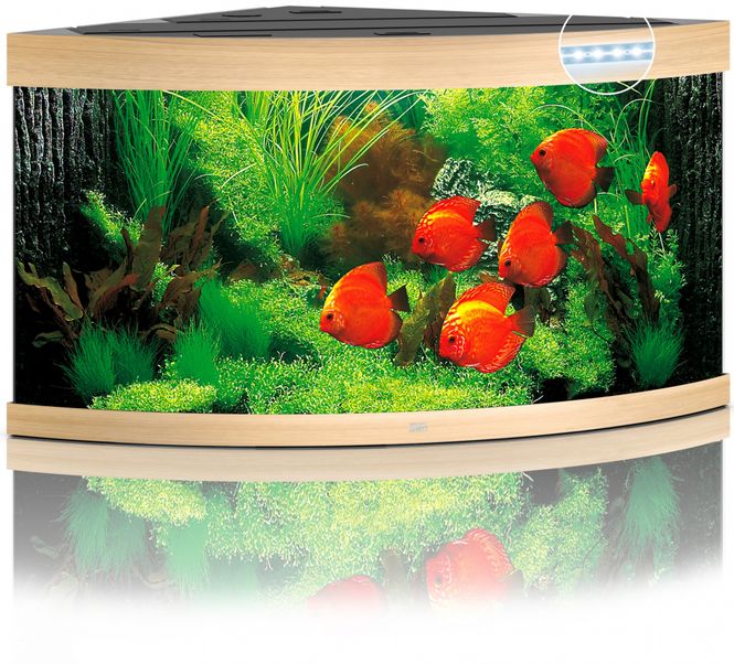 Hovedbilde Trigon 350 LED Eik