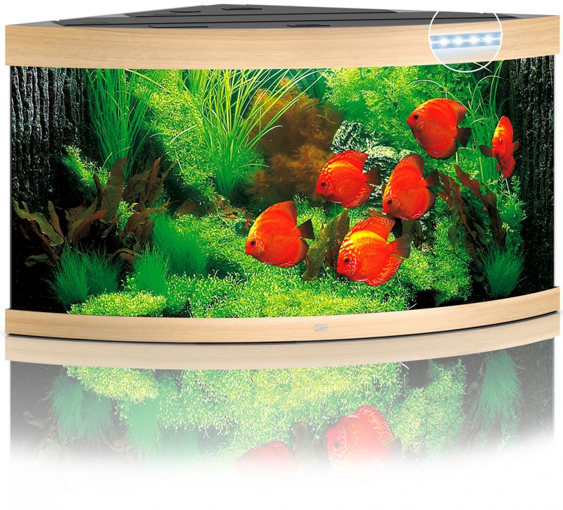 Trigon 350 LED Eik