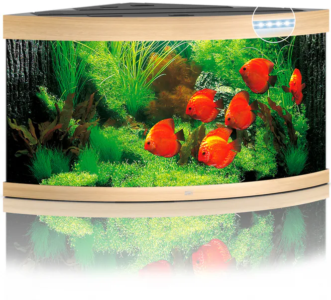 Hovedbilde Trigon 350 LED Eik