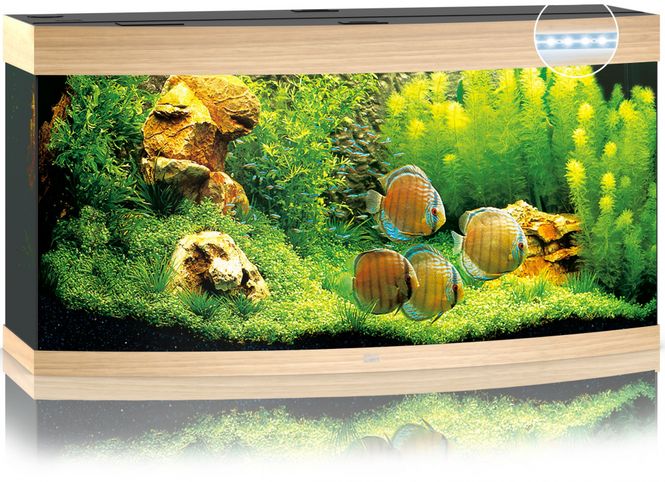 Hovedbilde Vision 260 LED Eik