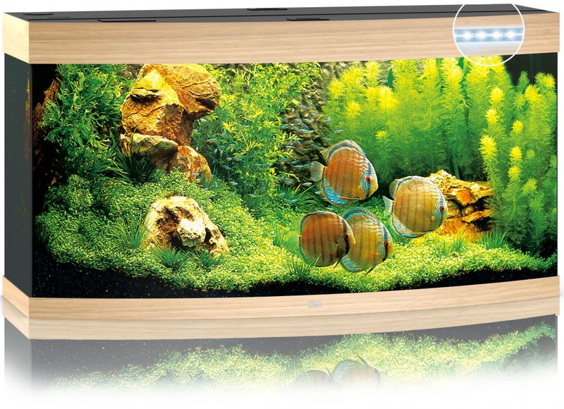 Vision 260 LED Eik