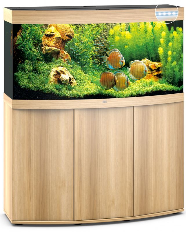 Vision 260 LED Eik