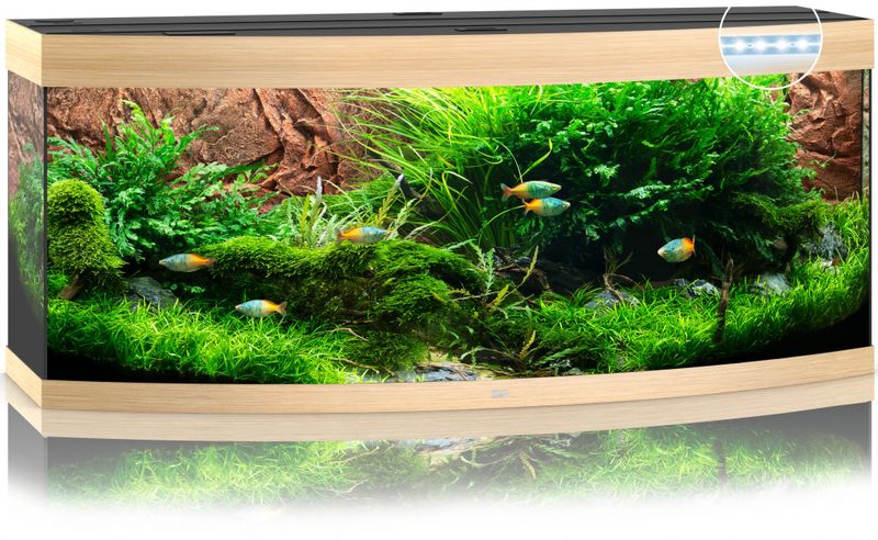 Vision 450 LED Eik