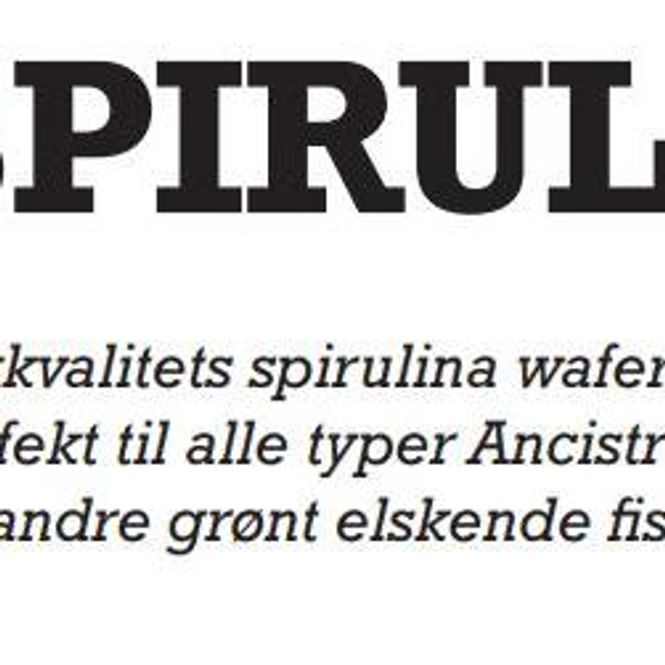 Hovedbilde Spirulina Wafers - 100ml 