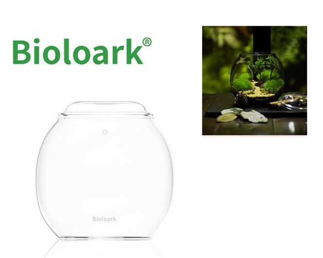 Hovedbilde Bioloark Bubble Cup THREE Wabi-Kusa Glas