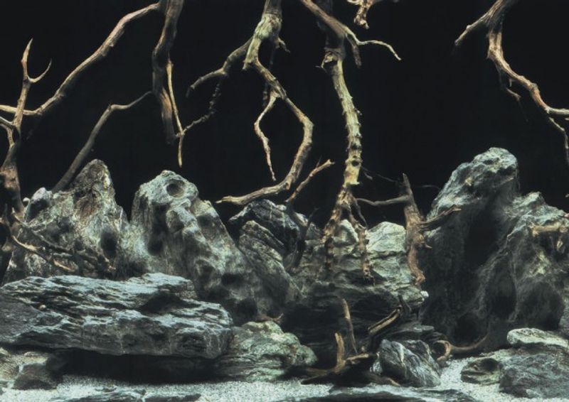 Bakgrunn 100x50cm TREE ROOTS/WATER