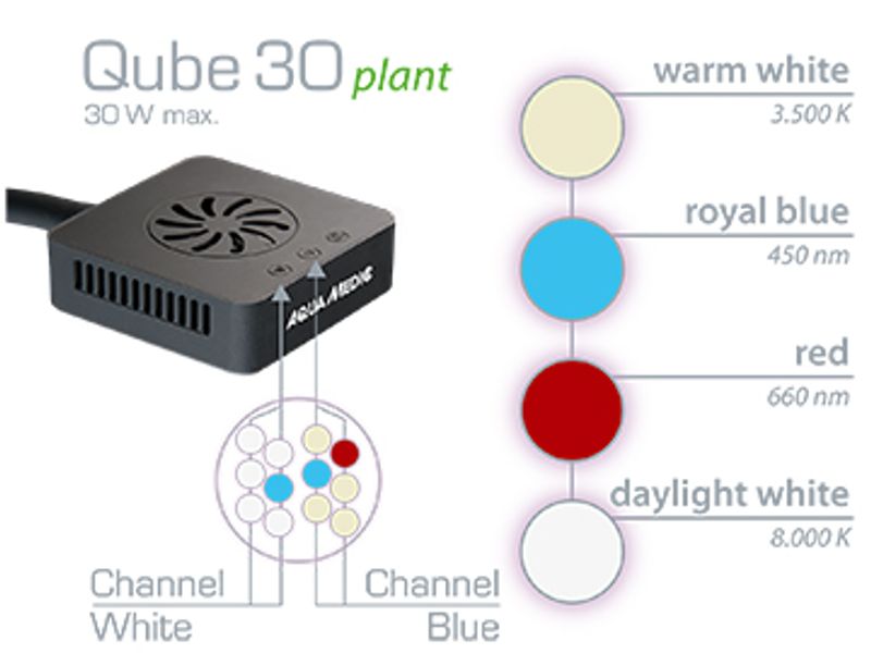 Qube 30 Plant 