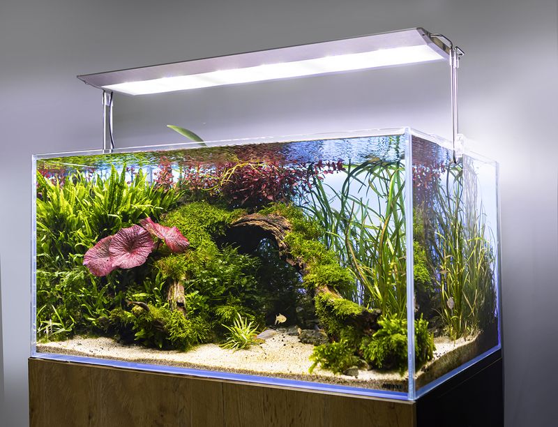 Aquael Ultra Slim BT LED Light 60W