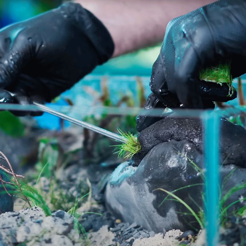 Wio Soil Ball Sticky