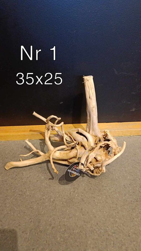 Polish wood nr1 