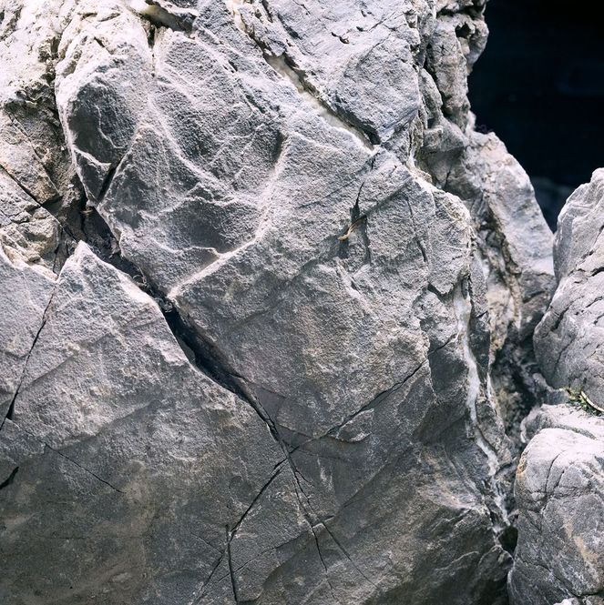 Hovedbilde Frodo stone