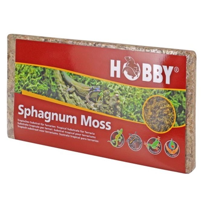 Hovedbilde Hobby Spagnum moss 100g