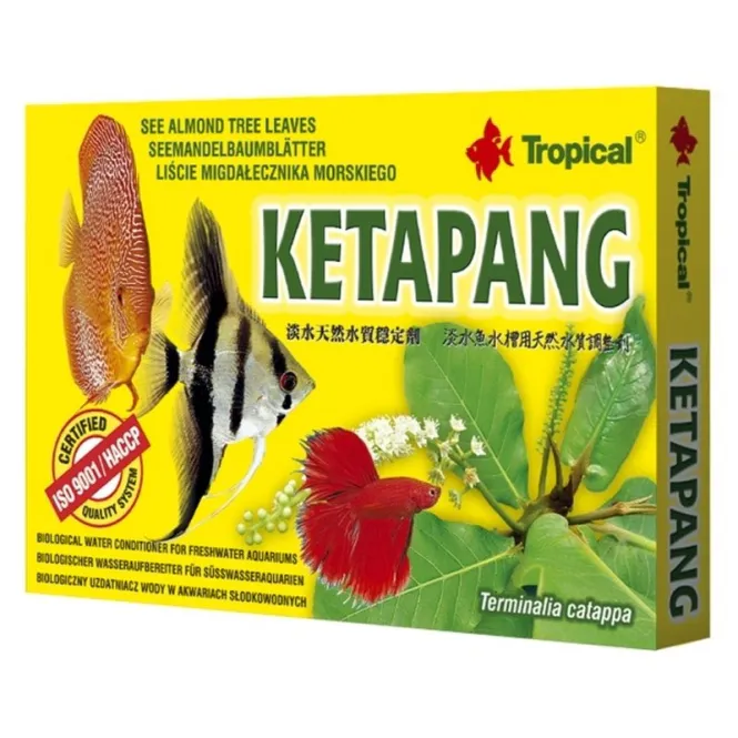 Hovedbilde Tropical Ketapang - Tea bags 6pk