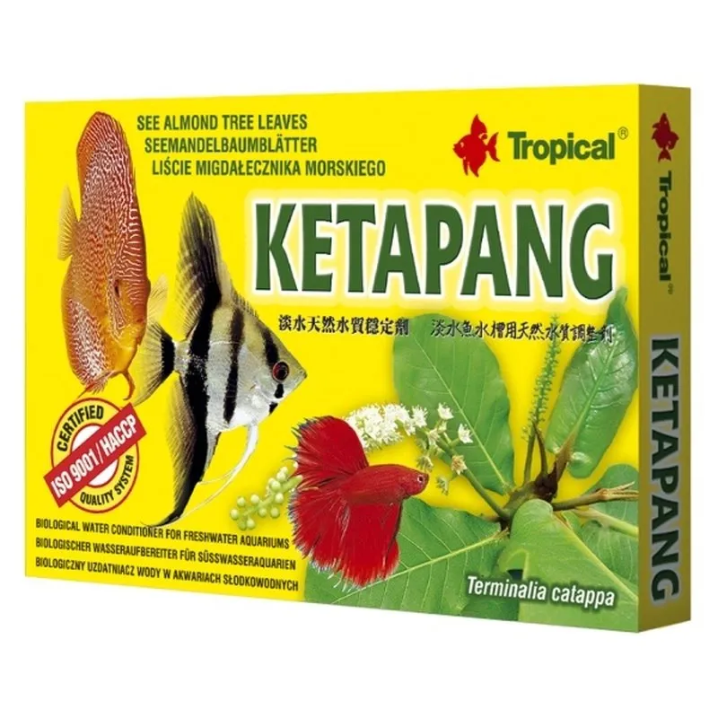 Tropical Ketapang - Tea bags 6pk