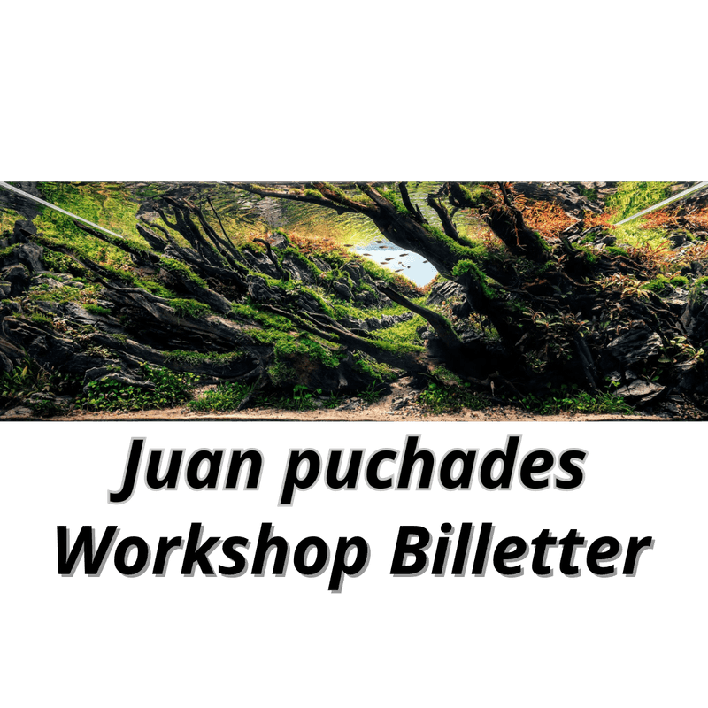 Workshop Juan Puchades  27 April 2024