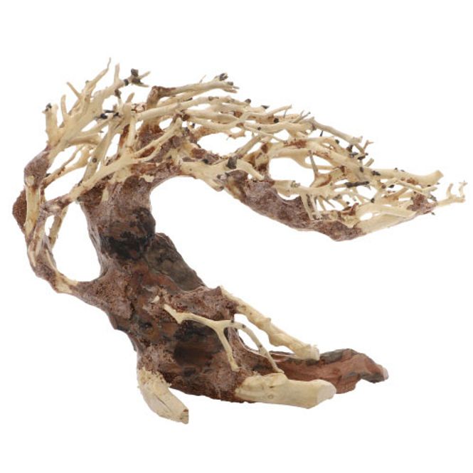 Hovedbilde Crooked Root Small 