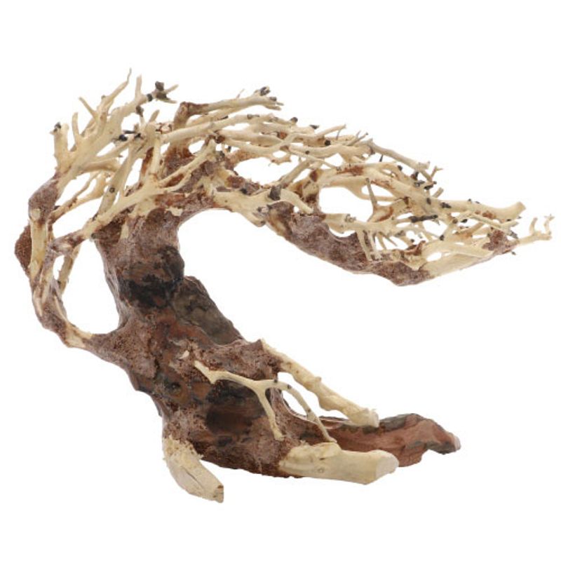 Crooked Root Small 
