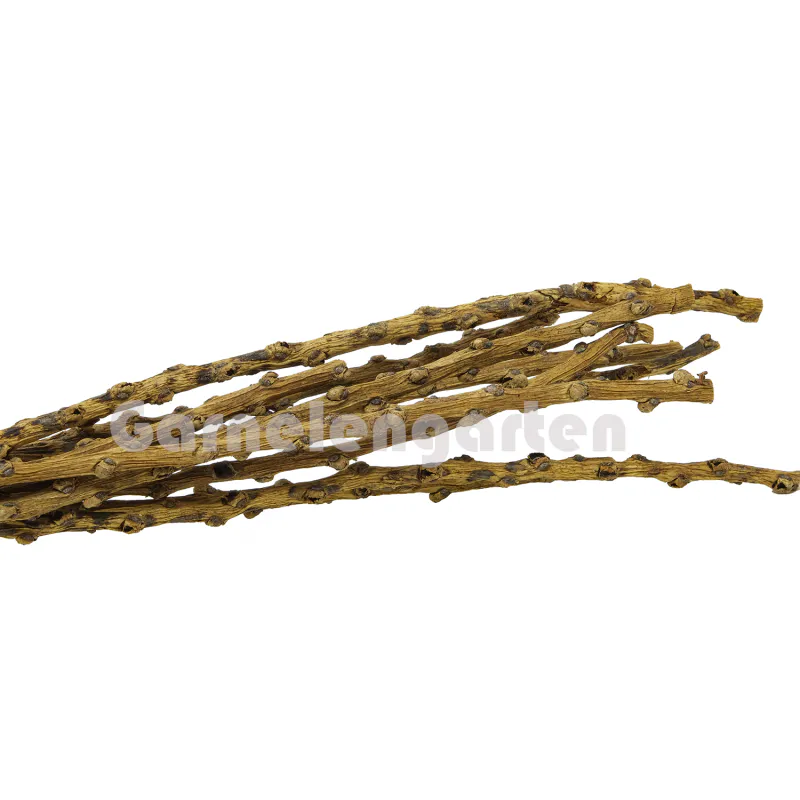 Palmeblomst grener 10pk 