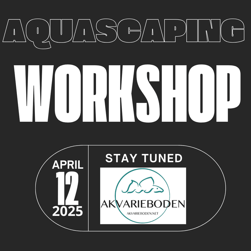 Workshop  Luis Cardoso 12 april 2025 