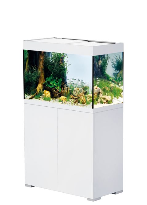 Hovedbilde Oase StyleLine 175 Hvit  akvarie sett