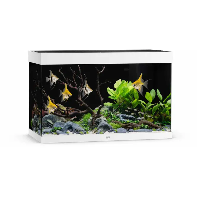 Hovedbilde Juwel Akvarium Led Rio 290 Hvit