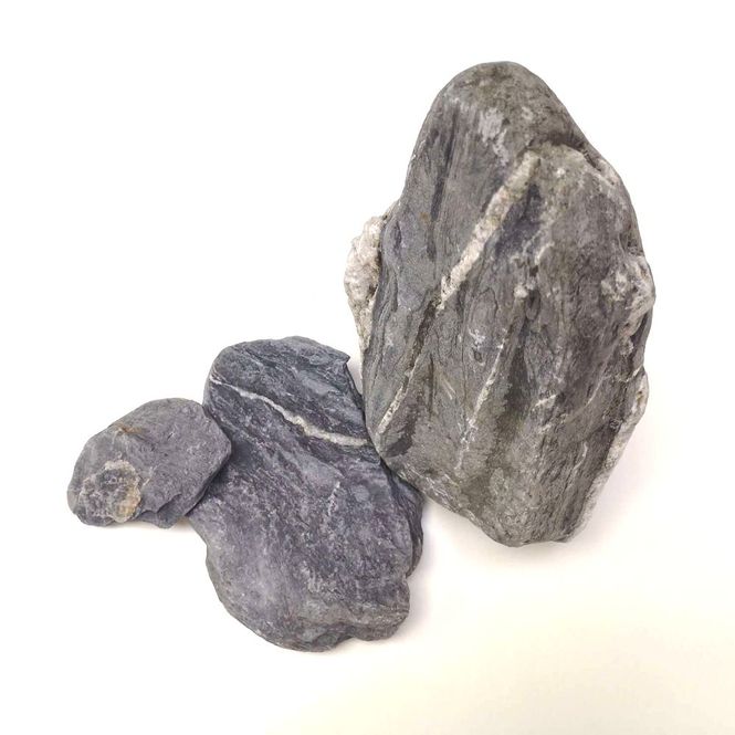 Hovedbilde Wild Rhino stone