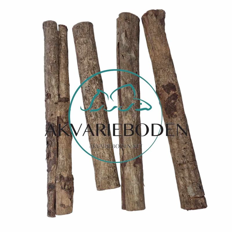 Catappa Bark XL 1stk 